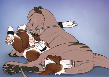 anal animal_genitalia animal_vulva barely_visible_genitalia barely_visible_penis bdsm black_claws black_pawpads bondage bound brown_body brown_fur canine_genitalia canine_vulva claws duo female female_penetrated feral feral_on_feral feral_penetrated feral_penetrating feral_penetrating_feral fur genitals lying male male/female male_penetrating male_penetrating_female male_rimming_female on_back on_side oral pawpads penetration penis penis_in_mouth pink_penis pink_vulva restraints rimming sex simple_background spread_legs spreader_bar spreading vulva white_body white_fur killthe_demon thylus canid canine canis dasyuromorph domestic_dog mammal marsupial recently_extinct_species thylacine hi_res