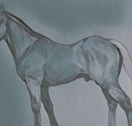 animal_genitalia balls faceless_character faceless_feral faceless_male feral fully_sheathed genitals male quadruped sheath side_view simple_background solo unsigned laser_(artist) equid equine horse mammal greyscale monochrome