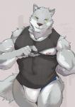 anthro biceps bulge clothed clothing fur kemono male muscular muscular_anthro muscular_male nipple_zipper nipples pecs shirt simple_background solo tank_top top_tank_meme topwear underwear taki_kaze meme_clothing canid canine canis mammal wolf 2017 hi_res meme