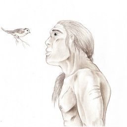 adolescent arm_scar blue_eyes chest_scar duo facial_hair feral hair long_hair scar simple_background white_background young eurwentala archaic_human avian bird eurasian_blue_tit hominin mammal neanderthal oscine passerine primate tit_(bird) 2009 sketch