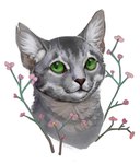 ambiguous_gender branch feral flower fur green_eyes grey_body grey_fur looking_at_viewer plant simple_background smile solo torn_ear whiskers white_background s.nomen warriors_(book_series) echosong_(warriors) domestic_cat felid feline felis mammal 2020 bust_portrait digital_media_(artwork) digital_painting_(artwork) hi_res portrait shaded signature female_(lore)