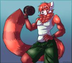 anthro barbell dumbbell ear_piercing ear_ring exercise fur hair looking_at_viewer male markings multicolored_body multicolored_fur muscular muscular_anthro muscular_male piercing pose red_body red_fur red_hair ring_piercing smile smug solo striped_body striped_fur striped_markings striped_tail stripes tail tail_markings talileon two_tone_body two_tone_fur weightlifting weights white_body white_fur workout corkiicorgii ailurid mammal red_panda absurd_res hi_res