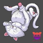 anthro balls erection fur genitals male masturbation pawpads penis pupils slit_pupils solo whiskers white_body white_fur doritomon dragon_ball korin_(dragon_ball) domestic_cat felid feline felis mammal