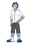 anthro beak biped bottomwear clothed clothing footwear hair looking_at_viewer male shirt shoes shorts solo topwear fuze texnatsu josh_oliver avian bird bluebird oscine passerine thrush_(bird) 3:4 hi_res