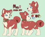 blue_eyes brown_collar collar female feral fur red_body red_fur smile solo bloowolfy ginga_(series) fan_character akita akita_inu canid canine canis domestic_dog mammal spitz hi_res model_sheet