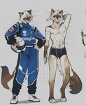 3_toes abs anthro boxers_(clothing) boxers_only brown_body brown_fur claws clothed clothing ear_piercing ear_ring feet fur heart_symbol male one_eye_closed pecs piercing racer racing_helmet racing_suit ring_piercing simple_background slim_anthro slim_male smile smiling_at_viewer solo standing toes topless underwear underwear_only white_background white_body white_claws white_fur yellow_eyes starliro domestic_cat felid feline felis mammal hi_res