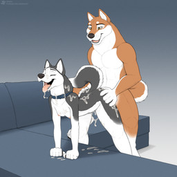 anthro anthro_on_anthro anthro_penetrated anthro_penetrating anthro_penetrating_anthro biped bodily_fluids brown_body brown_fur brown_tail countershade_torso countershading cum cum_drip cum_inside dripping duo female female_penetrated fur genital_fluids grey_body grey_fur grey_tail male male/female male_penetrating male_penetrating_female nude nude_anthro nude_female nude_male penetration sex tail jishinu hana_(jishinu) canid canine canis domestic_dog husky mammal nordic_sled_dog shiba_inu spitz 1:1 2025 digital_drawing_(artwork) digital_media_(artwork) hi_res
