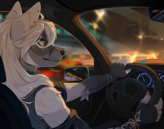 anthro car clothed clothing ear_piercing ear_stud female female_anthro fur glistening glistening_eyes grey_body grey_clothing grey_eyes grey_fur grey_topwear hair inside_car inside_vehicle long_hair mouth_closed piercing side_view sitting solo topwear vehicle white_body white_fur white_hair corzh77 canid canine mammal hi_res