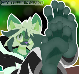 anthro bluesky_handle blurred_background clothing feet feet_up foot_focus fur green_body green_fur hoodie humanoid_feet looking_at_viewer male pink_nose plantigrade solo text topwear theconstelles nintendo pokemon floragato generation_9_pokemon pokemon_(species) 2026 digital_drawing_(artwork) digital_media_(artwork) english_description hi_res url
