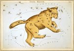 1825 19th_century absurd_res ambiguous_gender ancient_art bear brown_body brown_fur brown_tail claws constellation etching feral fur hi_res latin_text mammal public_domain quadruped sidney_hall simple_background solo star star_map tail text toe_claws traditional_media_(artwork) urania's_mirror ursa_major_(constellation) white_background
