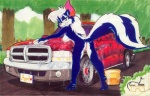 accessory anthro anus blue_body blue_eyes blue_fur bow_(feature) bow_accessory bow_ribbon breasts butt car_wash female fur genitals hair_accessory hair_bow hair_ribbon light_truck looking_at_viewer looking_back markings nipples nude pickup_truck pussy raised_tail ribbons side_boob solo striped_markings striped_tail stripes tail tail_markings truck_(vehicle) vehicle wet sabuna ram_trucks wildlifers angel_(cigarskunk) mammal mephitid skunk graphite_(artwork) marker_(artwork) mixed_media traditional_media_(artwork)