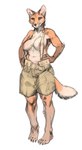 anthro bottomwear breasts clothed clothing female fur looking_at_viewer midriff_showing nipples nipples_covered_by_strap pouch_(clothing) shorts smile smug_face solo suspenders topless topless_anthro topless_female banoncat canid canine fox mammal digital_media_(artwork) hi_res