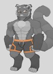 anthro black_body clothing male muscular muscular_male solo swimming_trunks swimwear tail silvershield88 binturong mammal viverrid hi_res