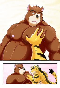 2_panel_comic anthro black_nose duo fur male male/male musclegut muscular muscular_male nipples pec_grab pecs pink_ears pink_nipples simple_background striped_body striped_fur stripes wo lucky_skebe morenatsu juuichi_mikazuki torahiko_ooshima bear felid mammal pantherine tiger 2022