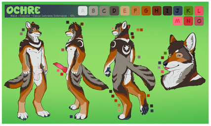 animal_genitalia animal_penis anthro balls biped blep border canine_genitalia canine_penis digitigrade erection fully_sheathed fur genitals green_eyes knot knotted_penis male male_anthro multicolored_body multicolored_fur navel nipples pawpads penis red_penis sheath solo standing tail text tongue tongue_out white_balls white_border white_sheath themutt ochre canid canine canis coyote mammal english_text hi_res model_sheet