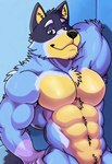 abs anthro arm_tuft armpit_hair bedroom_eyes belly belly_tuft biceps blue_body blue_eyebrows blue_fur body_hair chest_tuft chin_tuft elbow_tuft eyebrows facial_tuft fur hand_behind_head hand_on_leg hand_on_thigh head_tuft inner_ear_fluff looking_at_viewer male multicolored_body multicolored_fur muscular muscular_anthro muscular_male narrowed_eyes neck_tuft nude organs pecs seductive sensual shoulder_tuft simple_background smile solo standing stomach tail tan_belly tan_face tan_inner_ear tuft rjquaty bluey_(series) bandit_heeler australian_cattle_dog canid canine canis cattledog domestic_dog herding_dog mammal pastoral_dog absurd_res hi_res