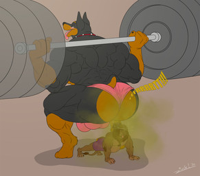 4_fingers anthro back_muscles balls_outline barazoku barbell big_muscles black_nose bodily_fluids bulge butt clothing collar crouching dazed detailed_bulge digitigrade docked_tail duo exercise fart fart_cloud fart_fetish farting_on_another fingers genital_outline green_eyes green_fart_cloud huge_muscles leg_muscles looking_back male male/male mane multicolored_body muscular muscular_anthro muscular_male musk penis_outline pointy_ears presenting presenting_hindquarters prick_ears question_mark rear_view short_tail simple_background size_difference slightly_chubby spiked_collar spikes sweat sweaty_butt tail thong two_tone_body underwear weightlifting weights workout juano blake_(juano) canid canine canis dobermann domestic_dog felid lion mammal pantherine pinscher hi_res