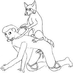 all_fours animal_genitalia balls bridle dominant dominant_feral duo feral fur genitals hair interspecies knee_pads male male/male nude_human penis sheath simple_background sitting sitting_on_another size_difference urbanhermit human mammal procyonid raccoon 1:1 black_and_white monochrome