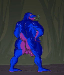 anthro anus backsack balls big_balls big_butt big_penis blue_body butt genitals hand_on_hip humanoid_genitalia humanoid_penis long_tongue looking_at_viewer looking_back looking_back_at_viewer male penis short_tail slightly_chubby solo tail tongue gtskunkrat amphibian frog hi_res