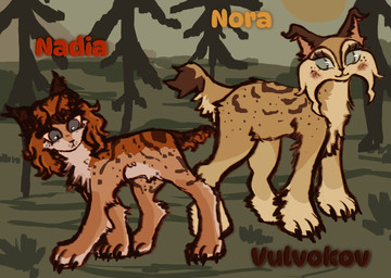 :< blue_eyes detailed_background duo female feral fur grass orange_body orange_fur plant sun tan_body tan_fur wispyvixen felid feline lynx mammal 2023 hi_res