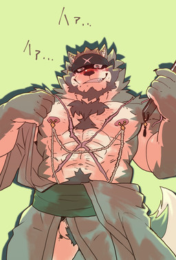 abs accessory anthro asian_clothing ball_tuft balls blush bottomwear chest_scar chest_tuft claws clothing ear_piercing ear_ring east_asian_clothing finger_claws fur genitals green_background green_bottomwear green_clothing green_hakama green_haori green_kimono grey_body grey_fur grey_headband hair hakama haori headband holding_fan japanese_clothing kimono looking_at_viewer male muscular muscular_anthro muscular_male nipple_chain nipple_piercing nipple_ring nipples obliques pecs piercing ponytail ring_piercing scar short_ponytail simple_background solo tail text tongue tongue_out tuft undressing_self white_background white_body white_clothing white_fur x_scar hawyel_32 anothereidos_of_dragon_vein_r new_year_2026 full_house_(anothereidos_r) canid canine canis mammal wolf 2026 hi_res japanese_text