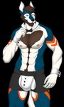 abs anthro beard blue_body blue_fur bow_tie brown_beard brown_facial_hair brown_hair bulge clothed clothing collar collarbone countershading cuff_links facial_hair fur hair looking_at_viewer love_handles male multicolored_body muscular muscular_male nipples orange_body orange_fur pink_nipples pointy_ears prick_ears simple_background skimpy solo tail thick_thighs transparent_background tuxedo_underwear white_body white_fur phrostbite rasker canid canine canis mammal wolf absurd_res alpha_channel hi_res signature watermark