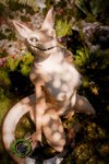 anthro breasts female forest forest_background fur heterochromia inner_ear_fluff living_tail nature nature_background neck_tuft nipples plant scales snake_tail solo tail tree tuft unusual_anatomy unusual_tail naga6kiwi fallout microsoft unnamed_character canid canine hybrid mammal night_stalker_(fallout) pit_viper rattlesnake reptile scalie snake viper 2:3 3d_(artwork) absurd_res blender_(artwork) digital_media_(artwork) hi_res