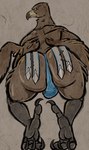 4_toes anisodactyl anthro avian_feet back_wings beak big_butt blue_clothing blue_underwear brown_body brown_feathers bulge butt clothing feathers feet looking_at_viewer looking_back looking_back_at_viewer male mostly_nude solo talons toes underwear wings anonymous_artist elden_ring elden_ring_nightreign fromsoftware guardian_(nightreign) accipitrid accipitriform avian bird absurd_res hi_res tagme