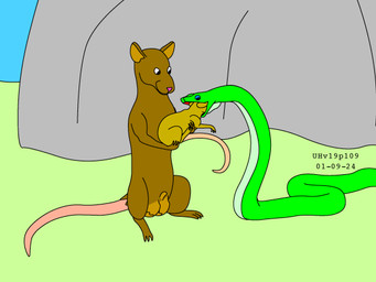 age_difference animal_genitalia balls blue_eyes brown_body brown_fur day feet feral feral_pred feral_prey forced fur genitals green_body group head_in_mouth holding_another larger_pred male male/male male_prey nude_male nude_pred nude_prey older_pred open_mouth oral_vore outside penis sheath sitting size_difference smile tail trio unwilling_prey vore willing_pred young young_feral young_prey urbanhermit mammal murid murine rat reptile rodent scalie snake 2001 4:3 colored dated