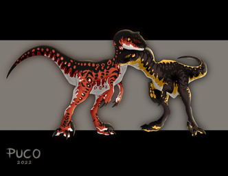 ambiguous_gender black_claws claws duo eye_contact feral head_on_head intraspecies looking_at_another multicolored_body snout tail yellow_eyes puco2000 dinosaur dromaeosaurid prehistoric_species reptile saurischian scalie theropod 2022 absurd_res colored digital_drawing_(artwork) digital_media_(artwork) hi_res shaded