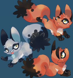 ambiguous_gender fangs feral fur grey_body grey_fur group looking_at_viewer open_mouth orange_body orange_fur pawpads paws simple_background tail teeth tongue trio yellow_eyes zoroa553 nintendo pokemon canid canine generation_8_pokemon mammal nickit pokemon_(species) shiny_pokemon 2025 absurd_res hi_res