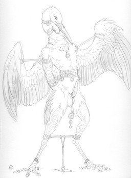 anthro balls bdsm beak bondage bound cuff_(restraint) erection feathered_wings feathers genitals hands_behind_back male muzzle_(object) muzzled nude penis restraints shackles simple_background solo spreader_bar submissive submissive_male tail tail_feathers white_background wings faithry avian bird stork monochrome sketch