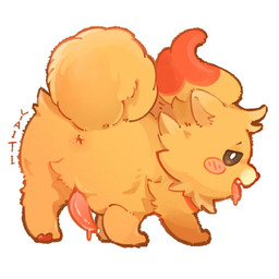 animal_genitalia animal_penis anus bodily_fluids feral genital_fluids genitals interspecies looking_at_viewer male penis pokephilia precum solo @mi1_yit nintendo pokemon canid canine canis domestic_dog generation_10_pokemon mammal pokemon_(species) pombon pomeranian spitz 1:1
