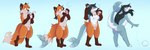 anthro basic_sequence black_hair blush breast_growth breasts drinking female fur gender_transformation genitals grey_body growth hair hair_growth happy linear_sequence male medium_breasts mtf_transformation orange_body orange_fur penis penis_to_vagina_tf potion pussy solo species_transformation surprised_expression tail tail_transformation transformation transformation_sequence white_body white_fur pawberry canid canine fish fox mammal marine shark colored sequence