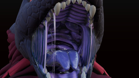 ambiguous_gender anthro anthro_pred bodily_fluids dripping fangs goo_drip horn mouth_shot open_mouth purple_body purple_flesh purple_mouth purple_tongue red_eyes sharp_teeth slime solo spikes spikes_(anatomy) teeth tongue danger_n00dle_(artist) devourer_(razor_koopa) goo_creature swaggon 16:9 3d_(artwork) 4k absurd_res digital_media_(artwork) hi_res widescreen male_(lore)