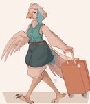 3_toes anthro belt blue_hair bottomwear claws clothed clothing feathered_wings feathers feet female fully_clothed hair luggage shorts simple_background solo toe_claws toes walking white_body white_feathers wings conditional_dnp tohupo avian bird 2024 absurd_res dated digital_media_(artwork) hi_res signature