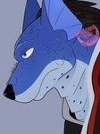 anthro black_nose blue_body blue_eyes blue_scales clothing grey_background hair male scales side_view simple_background solo cerberustheterrible_(artist) power_rangers power_rangers_spd anubis_cruger canid canine canis domestic_dog mammal 2023 3:4 absurd_res headshot_portrait hi_res portrait signature