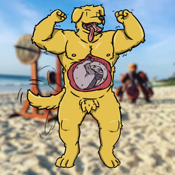 anthro bodily_fluids crotch_tuft digitigrade duo flexing internal looking_at_viewer male male/male muscular muscular_male scarf sweat tail tail_motion tailwag tongue tongue_out tuft vore karamelkobold butter_(karamelkobold) bird_dog canid canine canis domestic_dog golden_retriever hunting_dog mammal retriever rodent sciurid tree_squirrel 1:1
