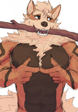 anthro armpit_tuft brown_eyes chest_tuft fluffy fur fur_markings looking_away male markings multicolored_body multicolored_fur muscular muscular_anthro muscular_male orange_body orange_fur simple_background solo stick stick_in_mouth tail tuft two_tone_body two_tone_fur white_background sreyel nintendo pokemon arcanine generation_1_pokemon pokemon_(species) 2025 hi_res