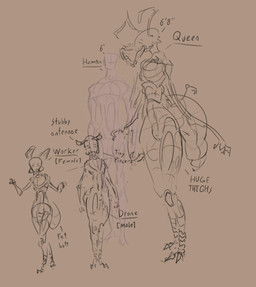 2_toes 3_fingers 4_eyes antennae_(anatomy) anthro arthropod_abdomen chart exoskeleton feet female female_anthro fingers group height_chart joints male male_anthro male_human mandibles monotone_background multi_eye pincers simple_background size_chart text thick_thighs toes skinnedteeth ant ant_queen arthropod human hymenopteran insect mammal english_text hi_res monochrome sketch
