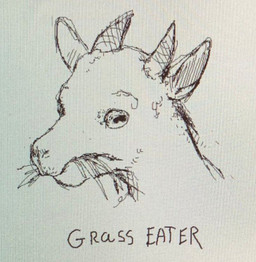 anthro ears_up eating eating_grass eyebrows fur grass grass_in_mouth horizontal_pupils horn looking_forward male plant pupils solo text reynard_goodfellow bovid caprine goat mammal digital_media_(artwork) headshot_portrait microsoft_paint_(artwork) portrait