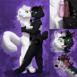 animal_genitalia frottage genitals gynomorph gynomorph/herm herm intersex intersex/intersex kiss_on_lips kissing knot knotted_penis merge_tf merge_transformation merging penile penis penises_touching sackless sex sheath sticky vulva raevi10 pickles_(sneppec) zero_(raevi10) domestic_cat felid feline felis mammal turkish_angora hi_res