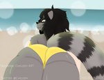 anthro beach clothing female seaside solo swimwear yellow_eyes chelody rabiosa_(chelody) mammal procyonid raccoon hi_res