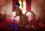 anthro biped blue_eyes bra butt clothing curtains female genitals kneeling nude presenting presenting_pussy pussy shirt smile solo spots thong topwear underwear undressing window lycangel surody_(copyright) surody cheetah felid feline mammal 2016