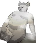 anthro bodily_fluids eyebrow_piercing facial_piercing fur grey_body grey_fur hair male navel overweight overweight_anthro overweight_male piercing pubes sauna simple_background sitting solo sweat towel pu94_d1de4c arknights hypergryph studio_montagne spot_(arknights) hyena mammal spotted_hyena 2023 hi_res