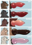 animal_genitalia animal_penis anthro canine_genitalia canine_penis chart chart_meme erection genitals group knot male penis penis_chart pandadough mythology penis_lineup canid canine canis mammal mythological_canine mythological_creature werecanid werecanine werecreature werewolf wolf