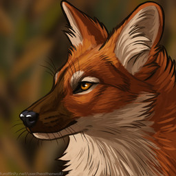 ambiguous_feral ambiguous_gender black_nose blurred_background brown_markings cheek_tuft facial_tuft feral fur inner_ear_fluff markings mouth_closed neck_tuft orange_body orange_ears orange_eyes orange_fur solo text tuft whiskers white_body white_fur white_inner_ear_fluff heatherwolf canid canine dhole mammal 1:1 url