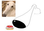 ambiguous_gender big_nose black_nose cake dairy_products dessert feral food fruit fur humor long_snout plant real simple_background sniffing snout solo strawberry whipped_cream white_background white_body white_fur keke_(artist) borzoi canid canine canis domestic_dog hunting_dog mammal sighthound 2d_animation animated icon loop photography_(artwork) short_playtime