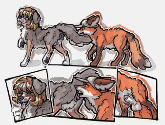 animal_genitalia animal_penis animal_vulva balls big_balls black_body black_fur bodily_fluids brown_body brown_fur brown_hair canine_genitalia canine_penis canine_vulva close-up clothing cunnilingus duo female feral feral_on_feral fur genital_fluids genitals hair hat headgear headwear licking male male/female nude open_mouth oral orange_body orange_fur penis penis_tip quadruped sex sheath simple_background smile tail teasing teeth text throbbing throbbing_balls throbbing_penis tongue tongue_out vaginal vulva wearing_hat white_background white_body white_fur ultranidd bernese_mountain_dog canid canine canis domestic_dog fox mammal molosser mountain_dog red_fox swiss_mountain_dog true_fox comic english_text hi_res painting_(artwork) sketch_page traditional_media_(artwork) traditional_painting_(artwork) traditional_watercolor_(artwork) watercolor_(artwork)