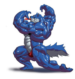 abs anthro arm_tattoo back_muscles biceps big_muscles biped blue_body blue_fur bodybuilder_competition clothed clothing deltoids facial_tattoo forearm_muscles fur grey_body grey_fur huge_muscles male male_anthro multicolored_body multicolored_fur muscular muscular_anthro muscular_male muscular_thighs pose quads red_clothing red_envelope red_thong red_underwear roman_numeral shoulder_tattoo side_view simple_background smile solo tail tattoo thong thong_only topless trapezius triceps two_tone_body two_tone_fur underwear underwear_only vein veiny_muscles white_background echin night_rain_(tigerwolf_xiii) canid canine canis mammal wolf 2026